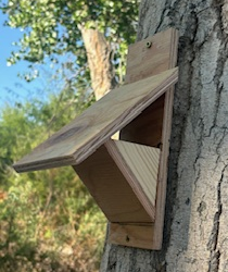 Lucy’s Warbler Nesting Boxes: A Community Effort