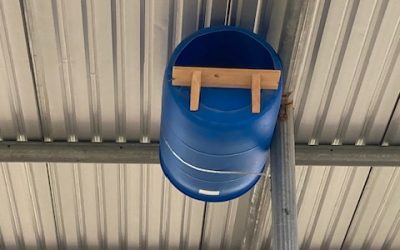 Owl Nesting Barrels: Providing Safe Homes for Raptors